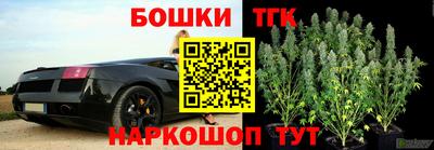 герыч Лесосибирск