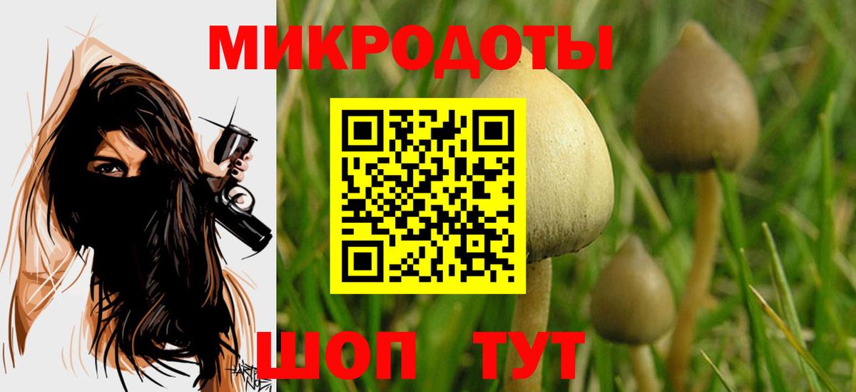 Галлюциногенные грибы Юрга