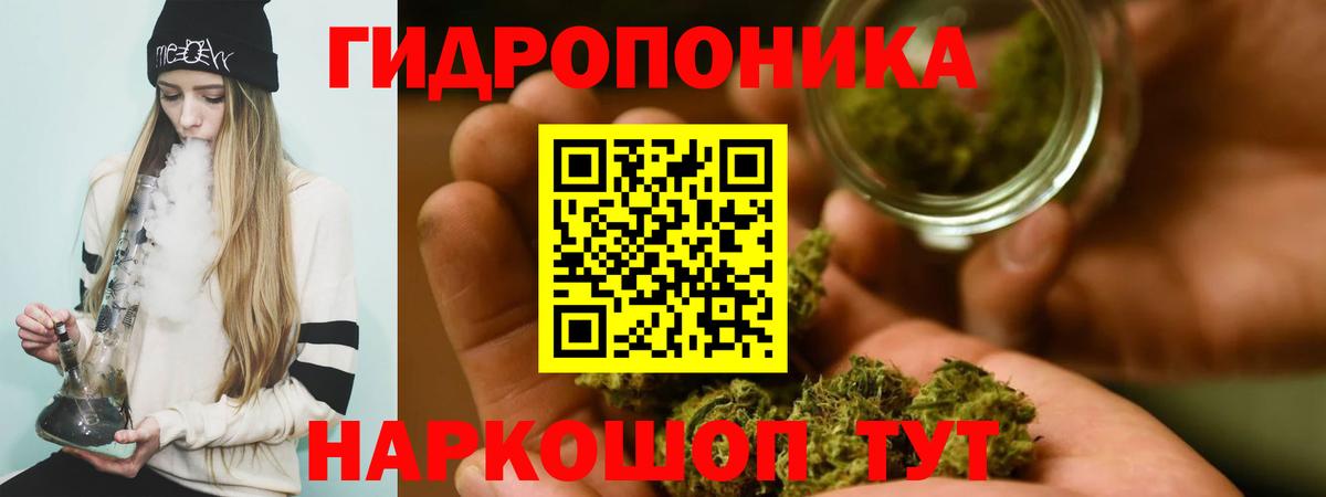 Бошки Шишки планчик Юрга